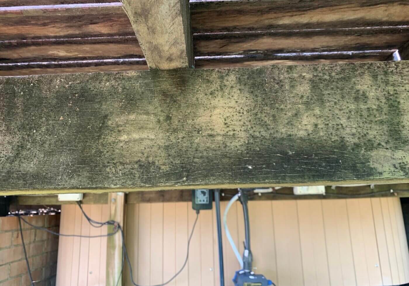 Treat mouldy timber even in winter.